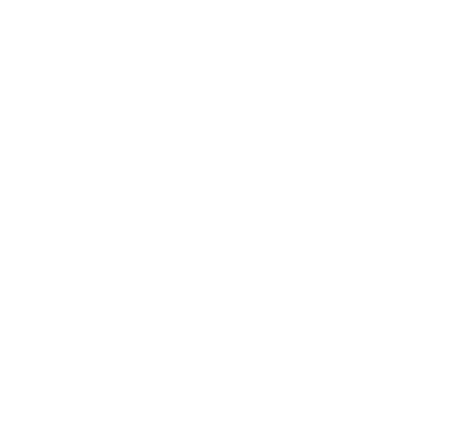 Logo der Hochstädter Lärmbelustigung